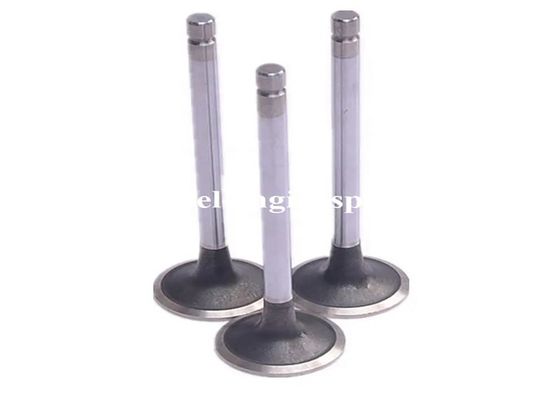 Navistar DT466 Intake Exhaust Valves